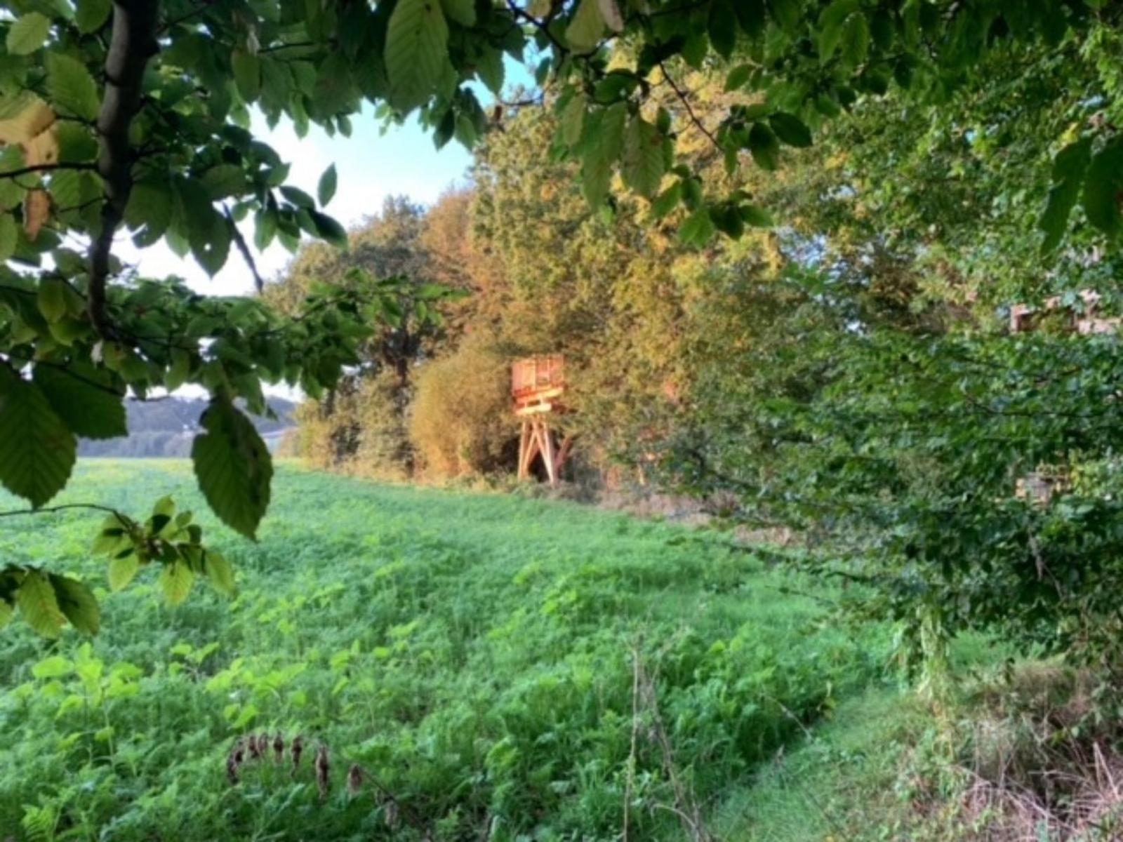 La Ville Es Renais - Ferme Et Maison D'Hotes Insolite Erquy Zewnętrze zdjęcie